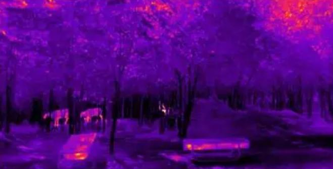 Drone Video Transmitter For Wildlife Conservation